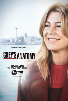 Grey's Anatomy S15 Poster