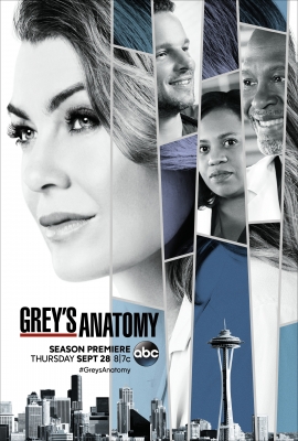 Greys_Anatomy_S14_Poster.jpg